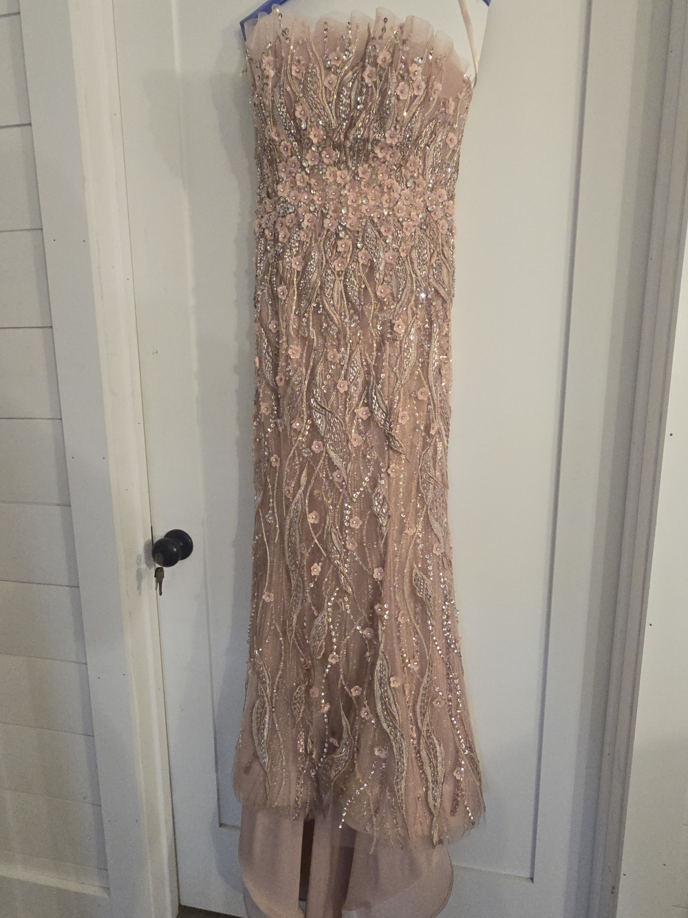 Terani Couture Strapless Blush Pink Embellished Gown